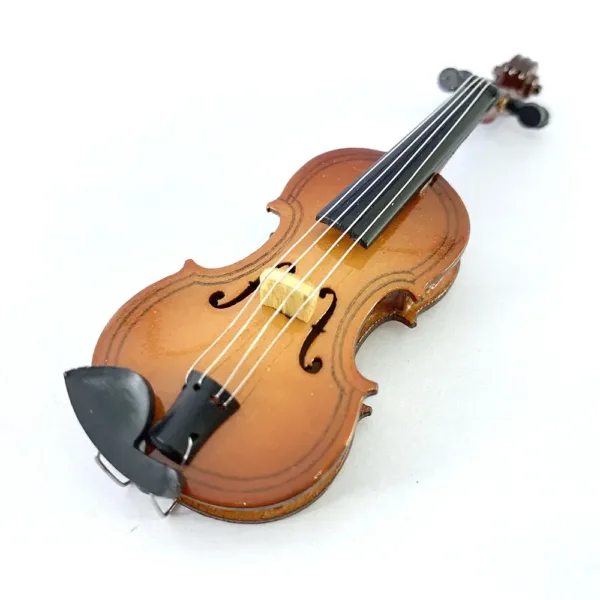 Large Violin Model