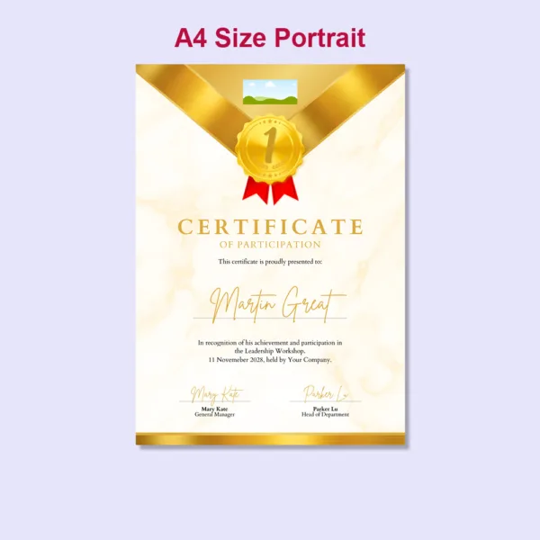 Gold Award Certificate3