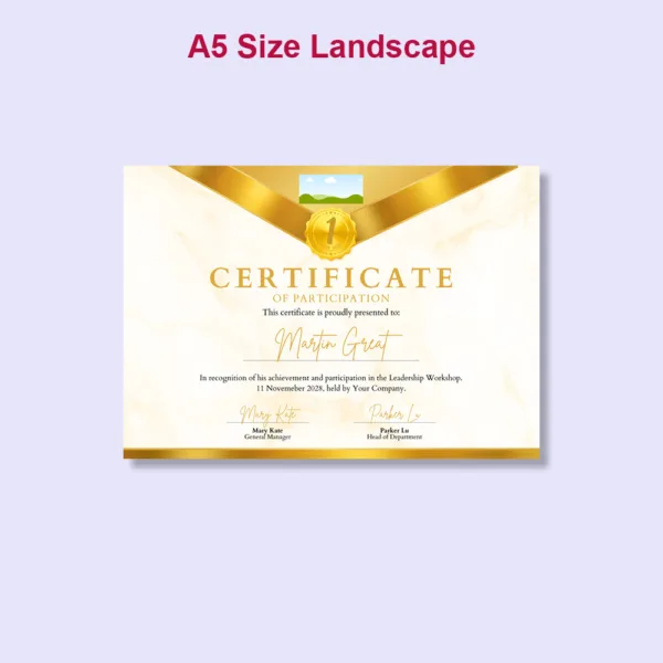 Gold Award Certificate5